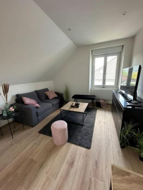 Beau Studio Cosy proche frontière Suisse Villers-Le-Lac